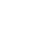 Icon2