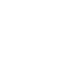 Icon5